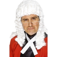 fancy dress judge wig