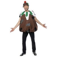 fancy dress xmas pudding costume