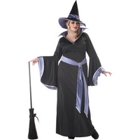 Fancy Dress - Incantasia Glamour Witch Costume (Plus Size)