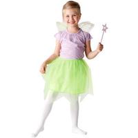 Fancy Dress - Disney Fairies Costume Set
