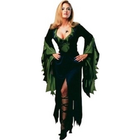 Fancy Dress - Enchantra Halloween Costume