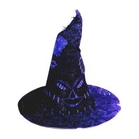 Fancy Dress - Harry Potter Sorting Hat