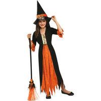 fancy dress child witch costume