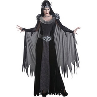 fancy dress evil queen outfit