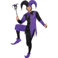 fancy dress medieval jester costume