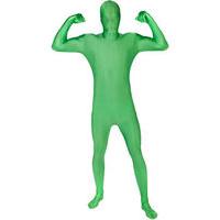 Fancy Dress - Green Morphsuit