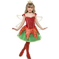 Fancy Dress - Christmas Elf Fairy Costume