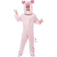 Fancy Dress - Pig Costume