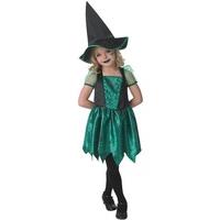 fancy dress child green spider witch costume