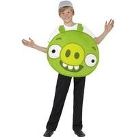 Fancy Dress - Child Angry Birds Green Pig Costume