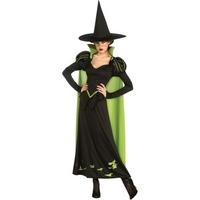 Fancy Dress - Womens Wicked Witch of the West Costume