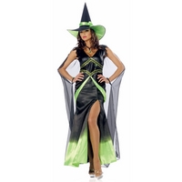 Fabulous Green Witch