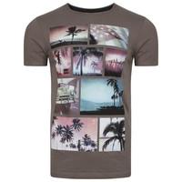 faded palm tree t shirt in grey dissident