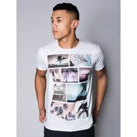 Faded Palm Tree T-Shirt in White - Dissident