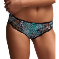 Fantasie Nicola, Teal Brief