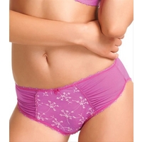 fantasie salsa orchid brief