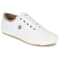 Faguo OAK men\'s Shoes (Trainers) in white