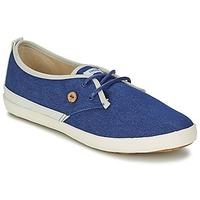 Faguo TEA women\'s Shoes (Trainers) in blue