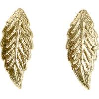 Fair Trade Gold Colour Leaf Earrings