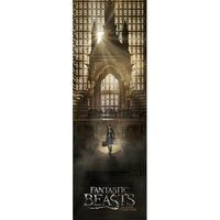Fantastic Beasts Door Poster 321