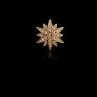 fashion inlay diamond small asterism brooch