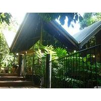 Ferntree Rainforest Lodge