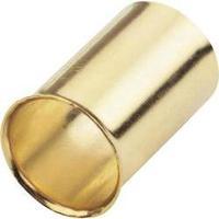 ferrules 25 mm sinuslive gold plated