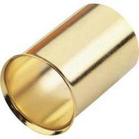 ferrules 50 mm sinuslive gold plated