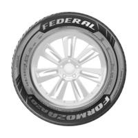 Federal Formoza AZ01 205/55 R17 91V