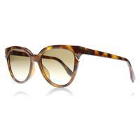 Fendi 0125S Sunglasses Havana MQL