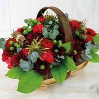 Feeling Festive Flower Basket - Gift - 1 Feeling Festive Flower Basket