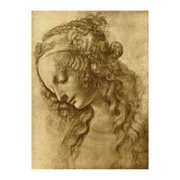 Female Head in Profile By Leonardo da Vinci