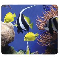 fellowes earth series recycled mouse pad under sea