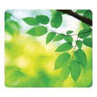 fellowes earth series recycled mouse pad leaves