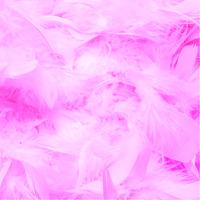 Feather Boas 1.8m - Candy