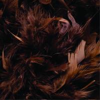 Feather Boas 1.8m - Chocolate