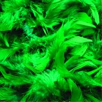 Feather Boas 1.8m - Emerald