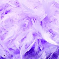 Feather Boas 1.8m - Lilac