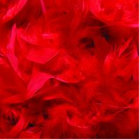 Feather Boas 1.8m - Red