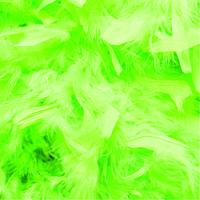 Feather Boas 1.8m - Fluorescent Green