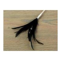 Feather & Diamante Feathers Brown