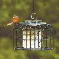 Feedsafe Oval Treat Feeder