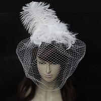 Feather Tulle Headpiece-Wedding Special Occasion Birdcage Veils 1 Piece