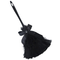 feather duster