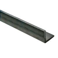 FFA Concept Steel Corner (H)20mm (W)15mm (L)1m