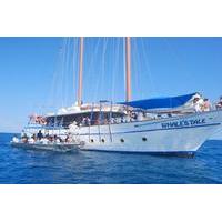 Fijian Islands and Snorkel Full-Day Whales Tale Cruise including Beach BBQ Lunch