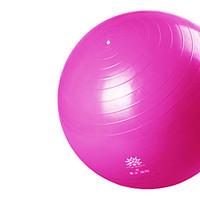 Fitness Ball/Yoga Ball Yoga Durable Life EVA-