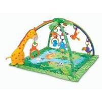 Fisher Price Rainforest Gym