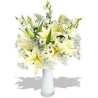 Finest Bouquets - Narnian Dreams - Grandissimo