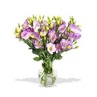 Finest Bouquets - Pastel Impress...